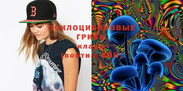 дживик Алексин