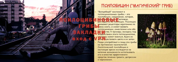 дживик Алексин